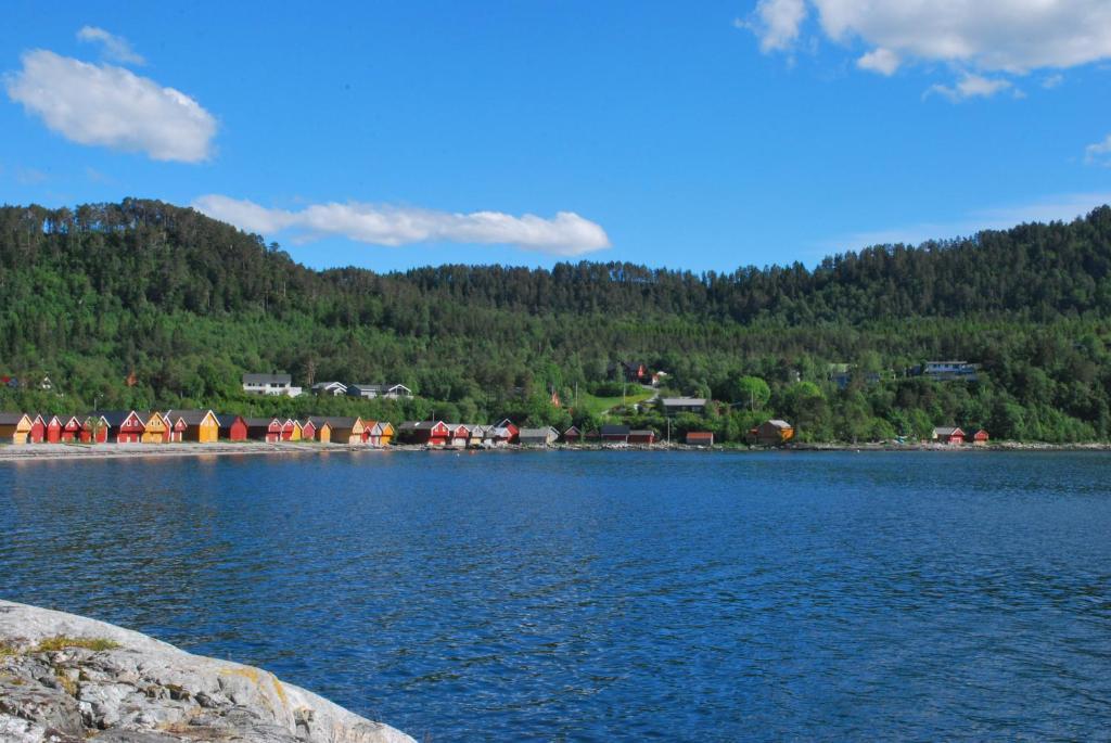 Sjoholt Camping Eksteriør billede