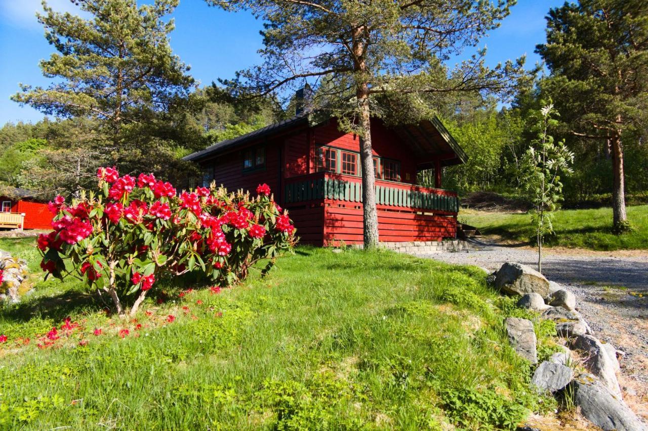 Sjoholt Camping Eksteriør billede